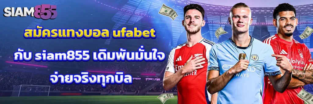 สมัคร แทงบอล ufabet